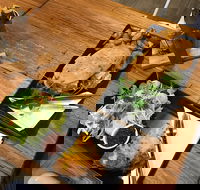 Two Little Owls Cafe - Local Tourism