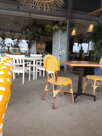 The Beehive Honeysuckle - Accommodation Australia 0