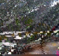 Leonies Little Tree Cafe - Local Tourism