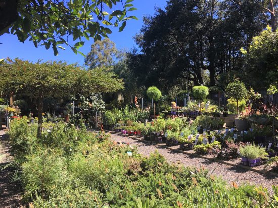 Yatte Yattah NSW Local Tourism