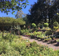 Yatte Yattah Nursery  Cafe - Local Tourism