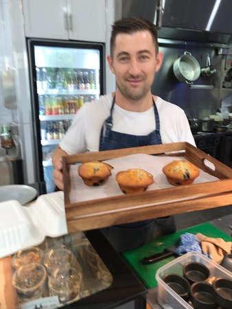 Coho - Local Tourism 0