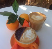 The Orange Tree - licensed cafe by the river - Accommodation Australia