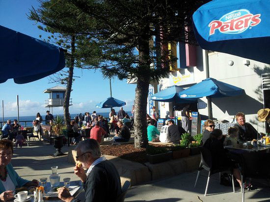 Shelly Beach NSW Accommodation Australia