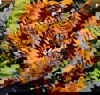 Royal Hotel - Bed n Breakfasts