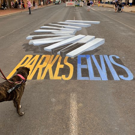 Wholesome Blend - Australia Shopping 0