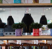 Collegians Balgownie - Bed n Breakfasts