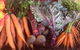 Food Lovers Market - thumb 0