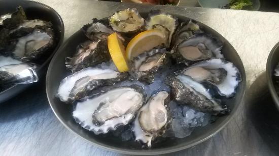 Tuncurry NSW Local Tourism