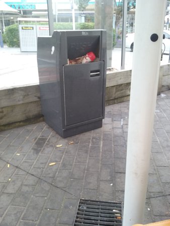 The Entrance NSW Bed n Breakfasts