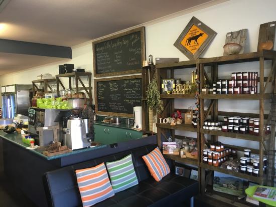 Shooters Hill NSW Accommodation Australia