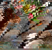 Dusty Beans Cafe - Local Tourism