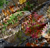 OlleyvilleShaw - Local Tourism