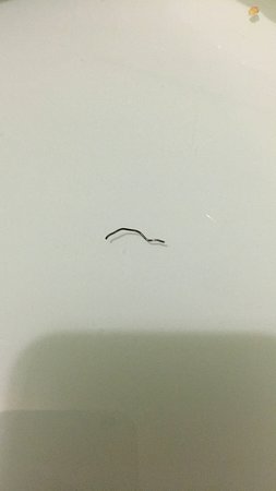 Forde ACT Australia Shopping