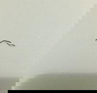 Jimmy's Palace - Australia Shopping