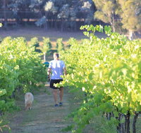 Tallagandra Hill Winery - Australia Shopping