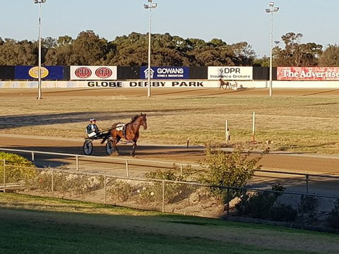 Paceway - Accommodation Australia 0