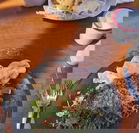 Painted Horse Cafe - Accommodation Australia