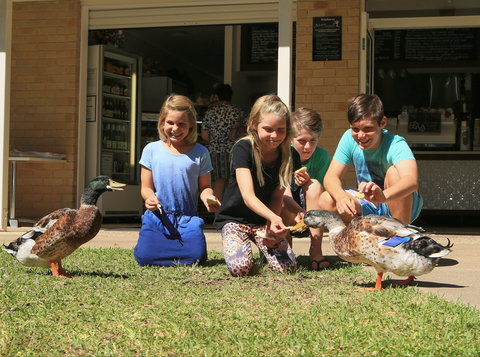 Arkarra Gardens Cafe And Restaurant - Local Tourism 2