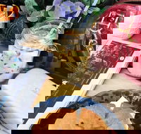 Calypso Cafe  Juice Bar - Wolli Creek - Accommodation Australia