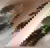 Dai Nam Cafe  Restaurant - Accommodation Australia