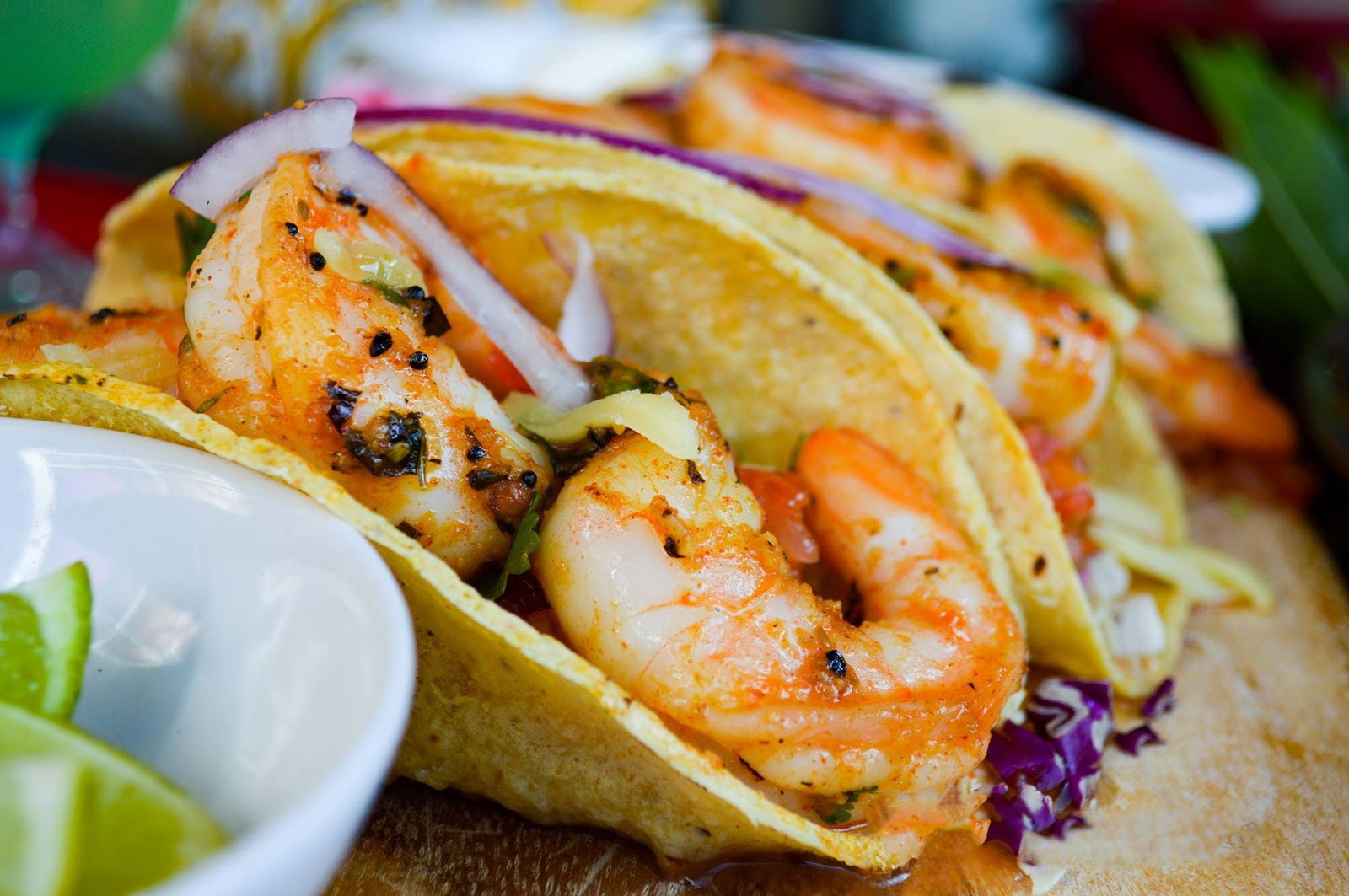 Aroona QLD Accommodation Australia