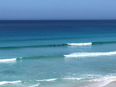 Beach Barista - Accommodation Australia 1