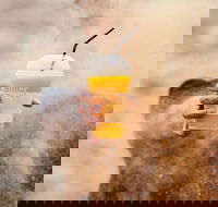 Little Caesars - Darlinghurst - Darlinghurst - Accommodation Australia