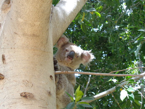 The Artesian Gardens Restaurant - Local Tourism 2