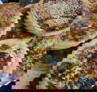 The Re Store Northbridge - Accommodation Australia