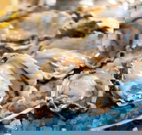 Atrium - Accommodation Australia