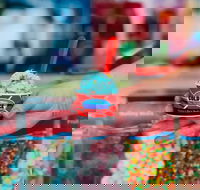 Cold Rock Ice Creamery - Springfield - Accommodation Australia