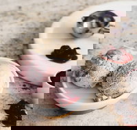 Gelatissimo - Wetherill Park - Bed n Breakfasts