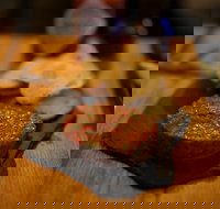 Hell of the North - Bed n Breakfasts