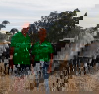 Milawa Organic Beef - Local Tourism