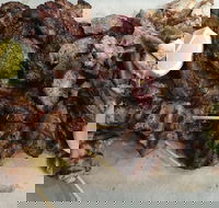 Pita Wrap It - Local Tourism