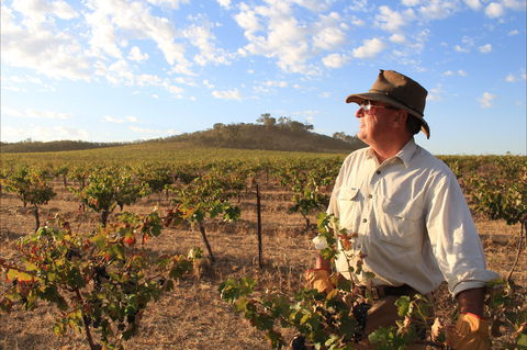 Sally's Paddock At Redbank Winery - Accommodation Australia 2
