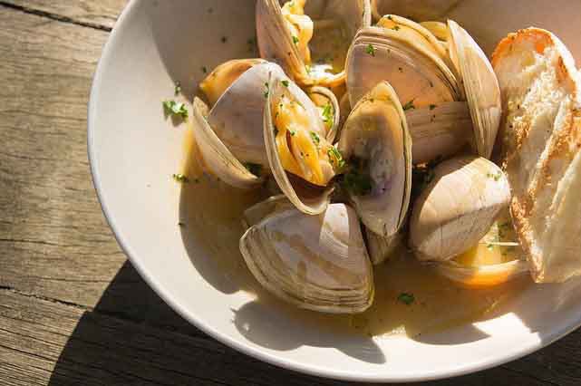 Piesse Brook WA Accommodation Australia