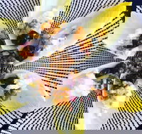 Food Business  Chapel Hill - Local Tourism