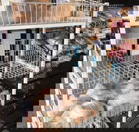 Jamison Bakery - Accommodation Australia