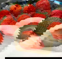 Lucky Dumpling - Accommodation Australia