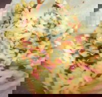 Massive Wieners - Accommodation Australia