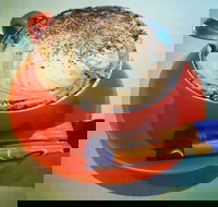 Phillips  Co - Local Tourism