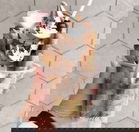 Eggette Waffle Bar - Australia Shopping