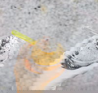 Spice Cottage - Local Tourism