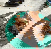 Sushi Bay - Penrith - Accommodation Australia