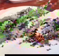 YaYa Bar and Eatery - Australia Shopping