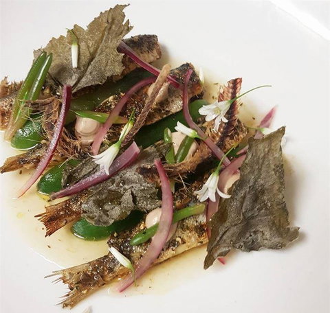 Three Black Sheep - Australia Shopping 12