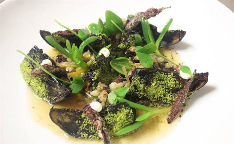 Three Black Sheep - Australia Shopping 5