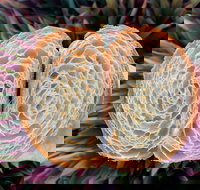 La Bouche - Accommodation Australia